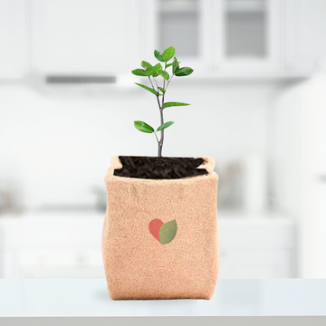 Jute fabric grow bag